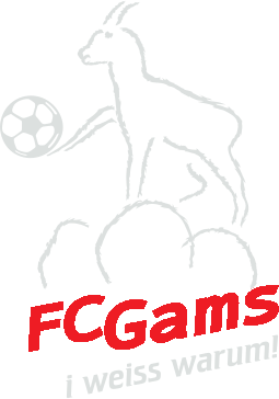 Fussballclub Gams